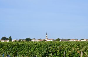 Vignoble La-Couarde-sur-Mer